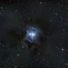 NGC7023 (Irisnebel)