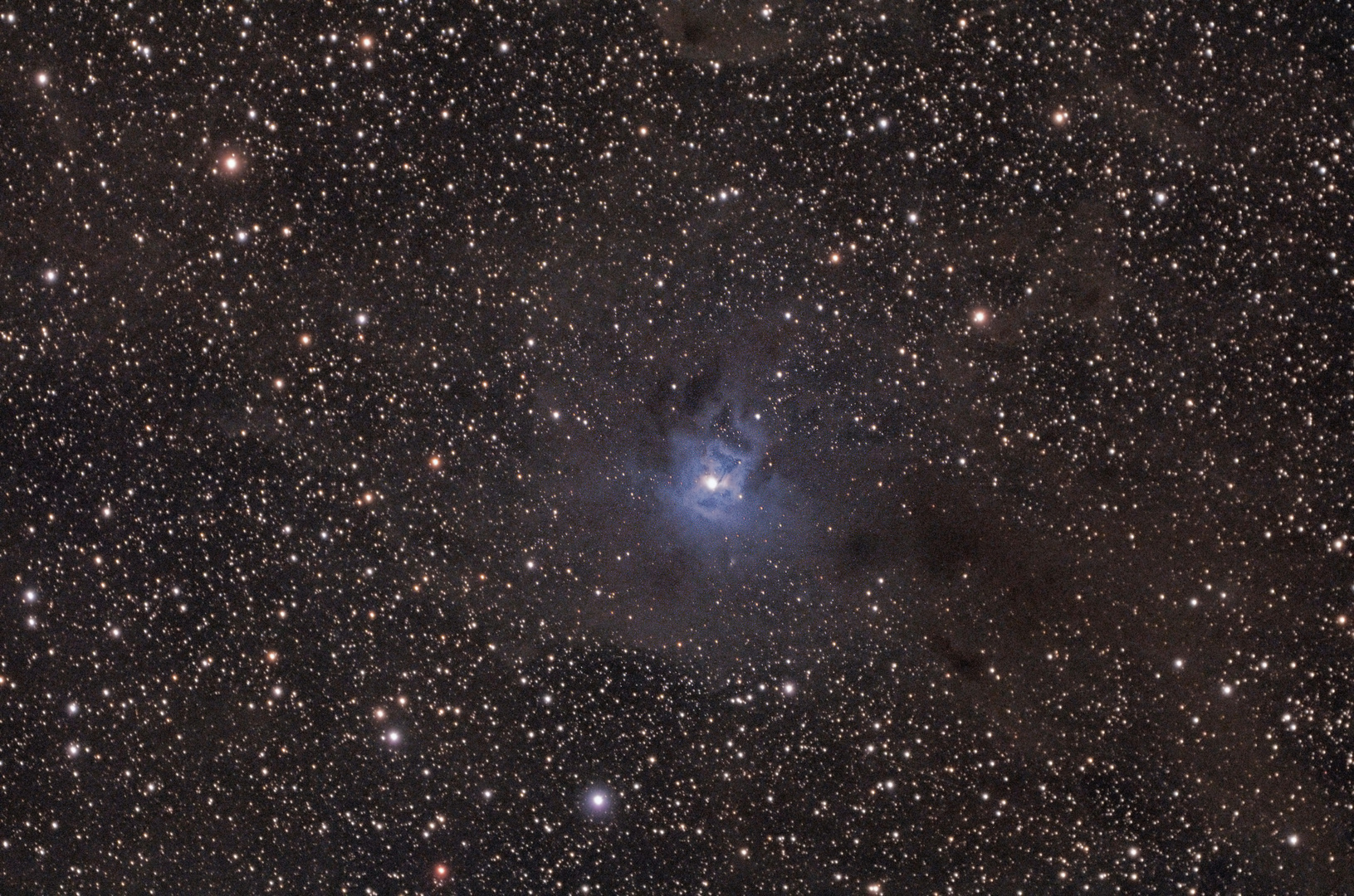 NGC7023 (Irisnebel) mit Dunkelwolken