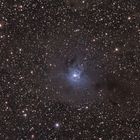 NGC7023 (Irisnebel) mit Dunkelwolken