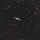 NGC7331 und Stephans Quintett