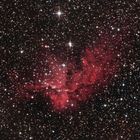 NGC7380 The Wizard Nebulae