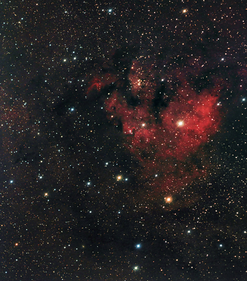 NGC7822-Ein Kreißsaal im Sternbild des Kepheus