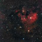 NGC7822-Ein Kreißsaal im Sternbild des Kepheus