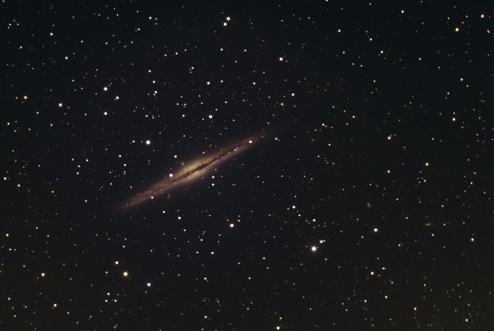 NGC891