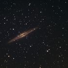 NGC891