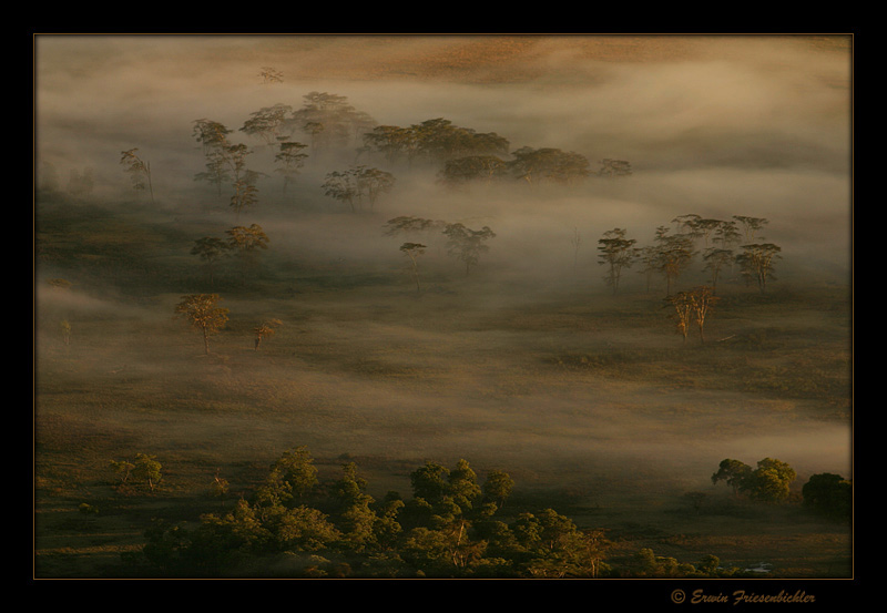 Ngorongoro 01