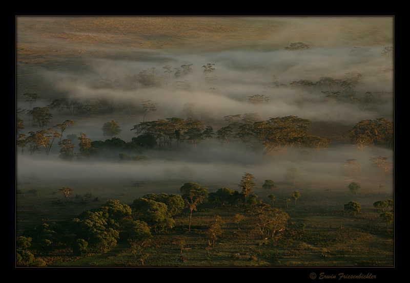 Ngorongoro 02