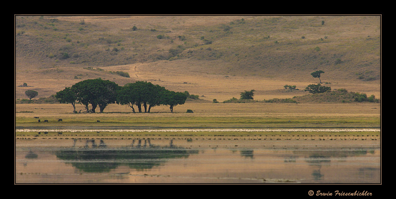 Ngorongoro 05