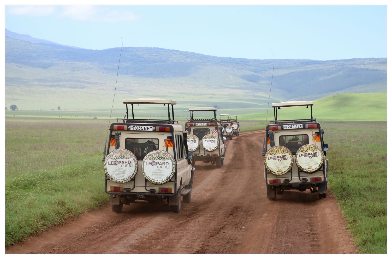 Ngorongoro