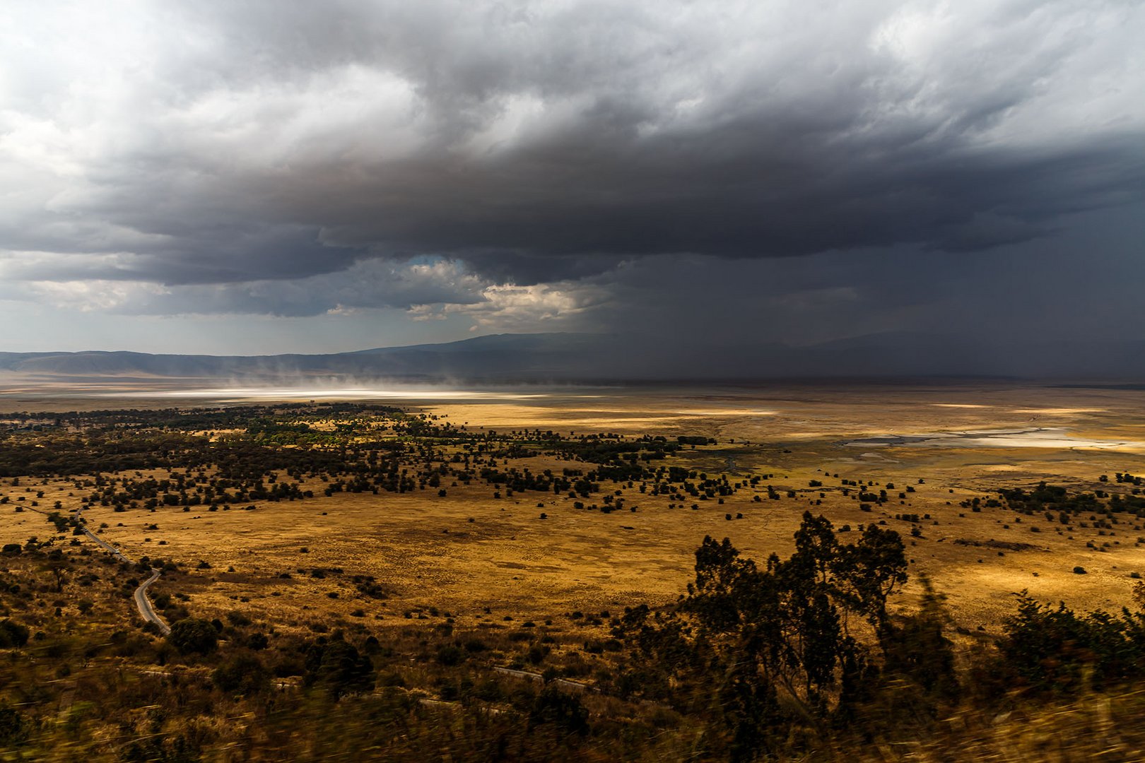 Ngorongoro 2019