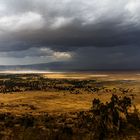 Ngorongoro 2019