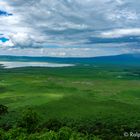 Ngorongoro