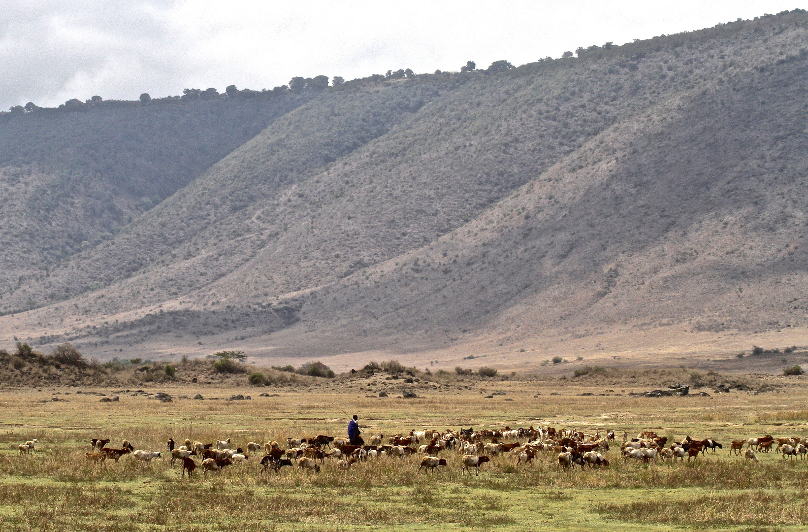 Ngorongoro 3