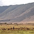 Ngorongoro 3