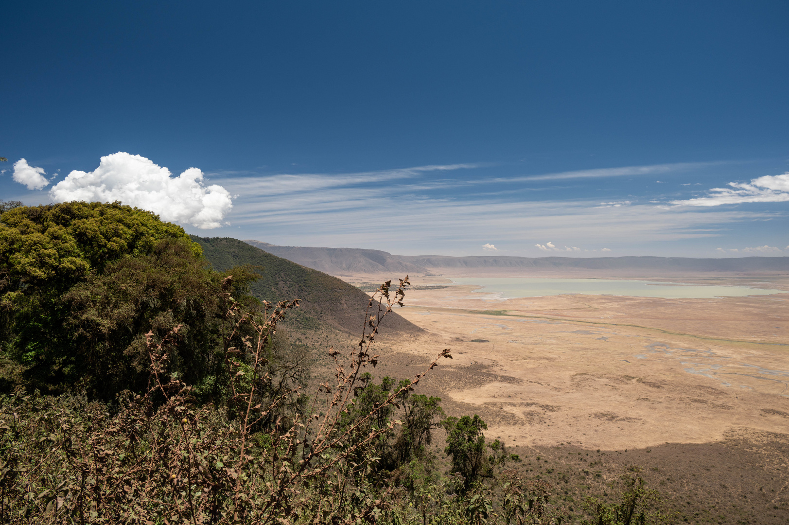 Ngorongoro