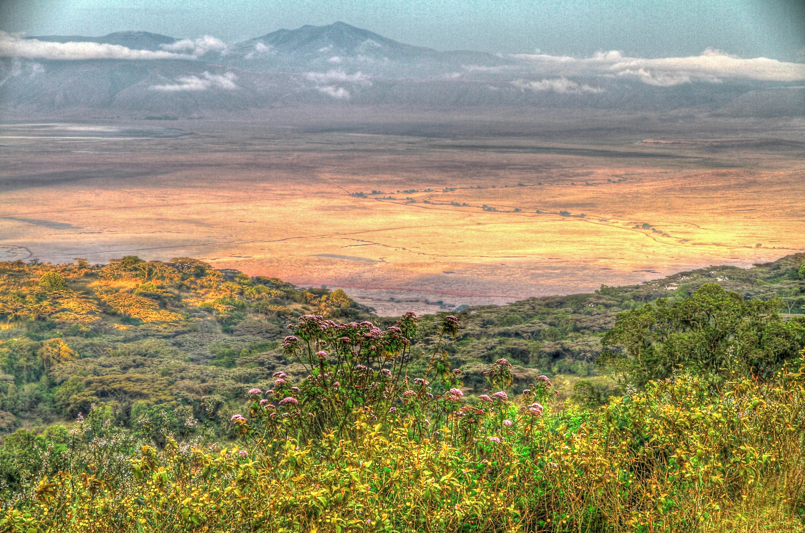 Ngorongoro