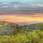 Ngorongoro