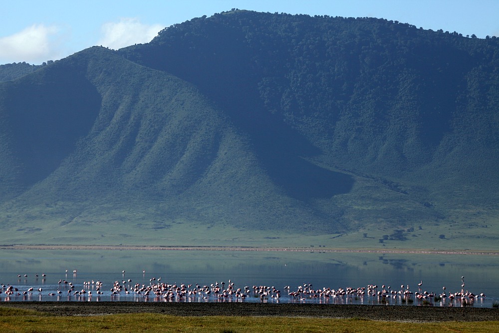 Ngorongoro