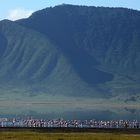 Ngorongoro