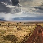 NgoroNgoro