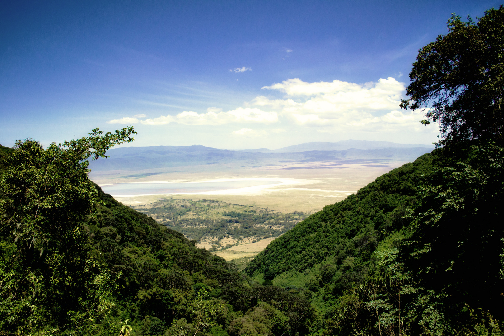 Ngorongoro Crater