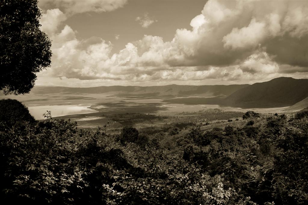 ngorongoro crater, Tanzania