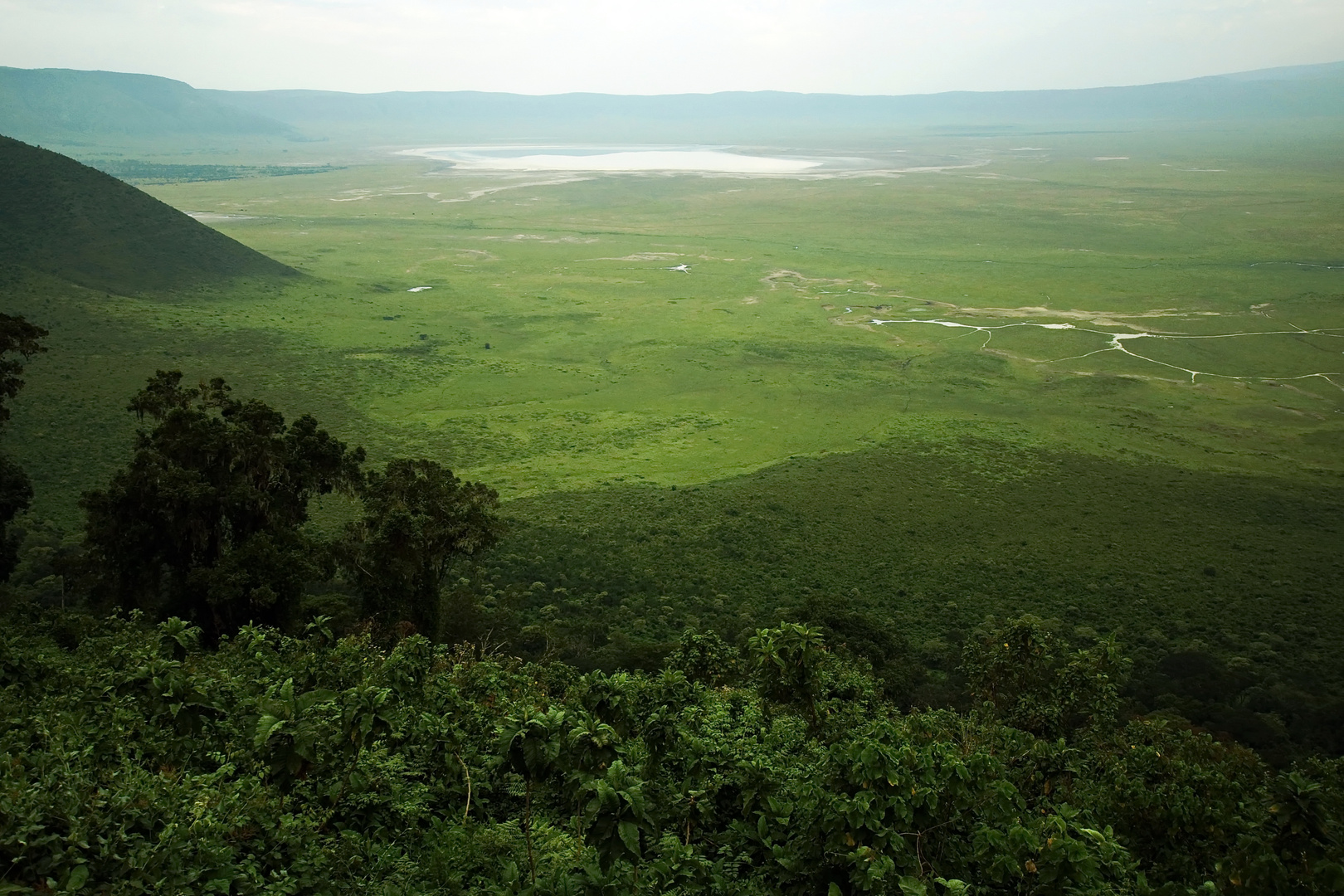 Ngorongoro