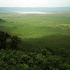 Ngorongoro