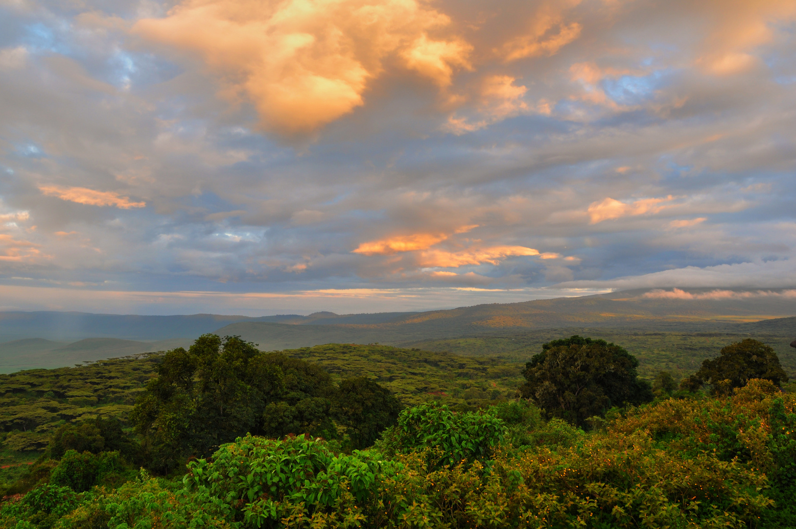 Ngorongoro