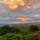 Ngorongoro