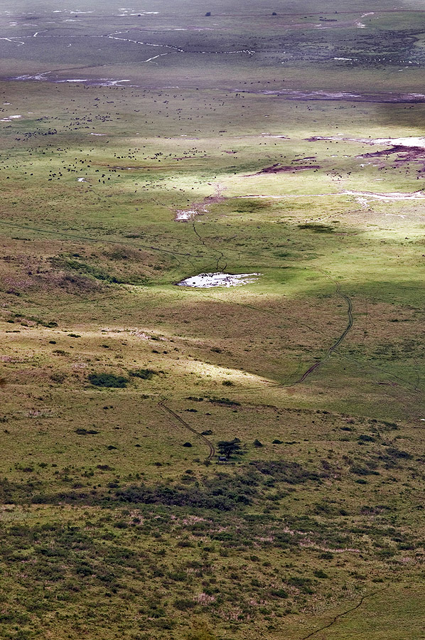 Ngorongoro....