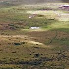 Ngorongoro....