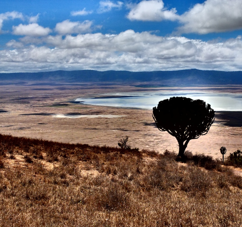 Ngorongoro I