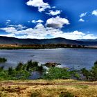 Ngorongoro III