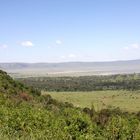 Ngorongoro Krater