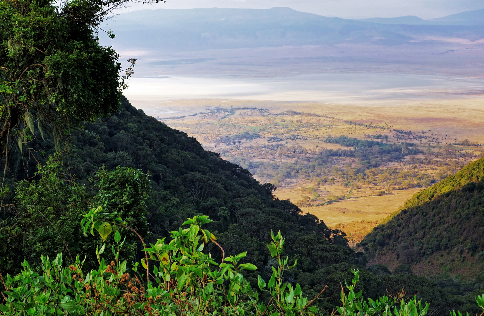 Ngorongoro Krater