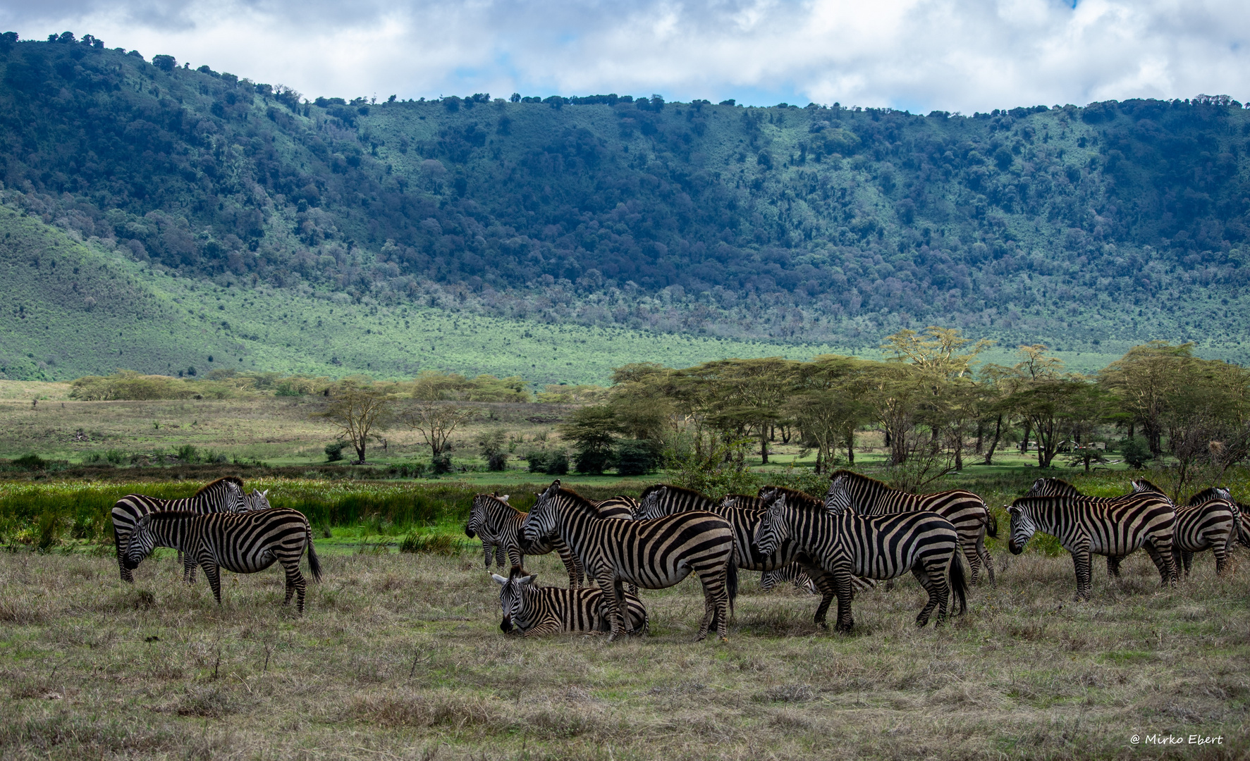 Ngorongoro Krater