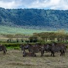 Ngorongoro Krater