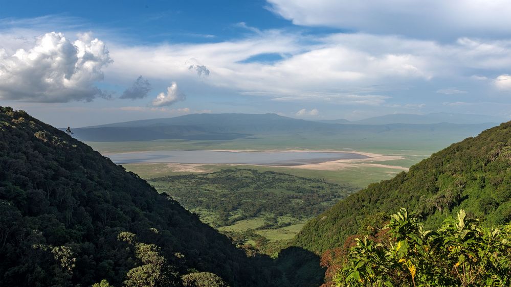 Ngorongoro Krater