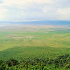 Ngorongoro-Krater