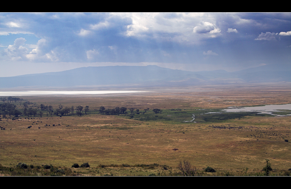 Ngorongoro Krater