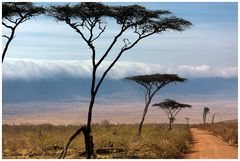 Ngorongoro Krater