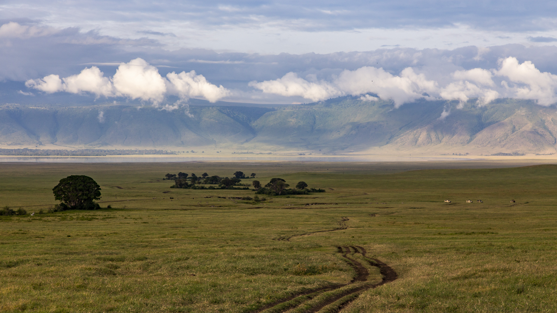 Ngorongoro-Krater  -  Das Tierparadies auf Erden