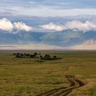 Ngorongoro-Krater  -  Das Tierparadies auf Erden