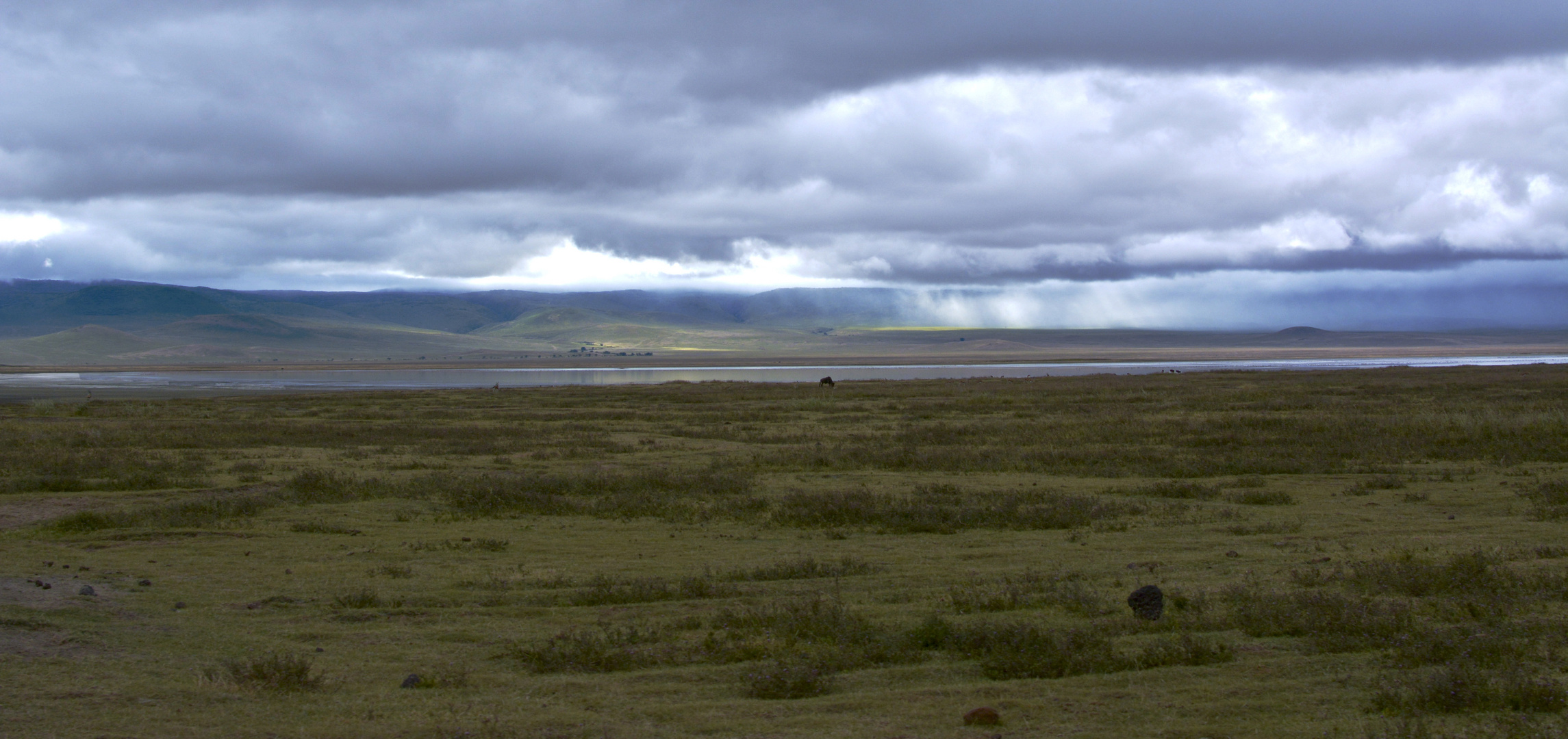 Ngorongoro Krater