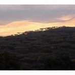 Ngorongoro-Krater im Abendlicht