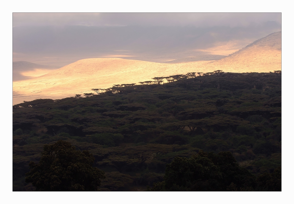 Ngorongoro-Krater im Abendlicht