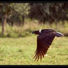 Ngorongoro Nationalpark (Reload)