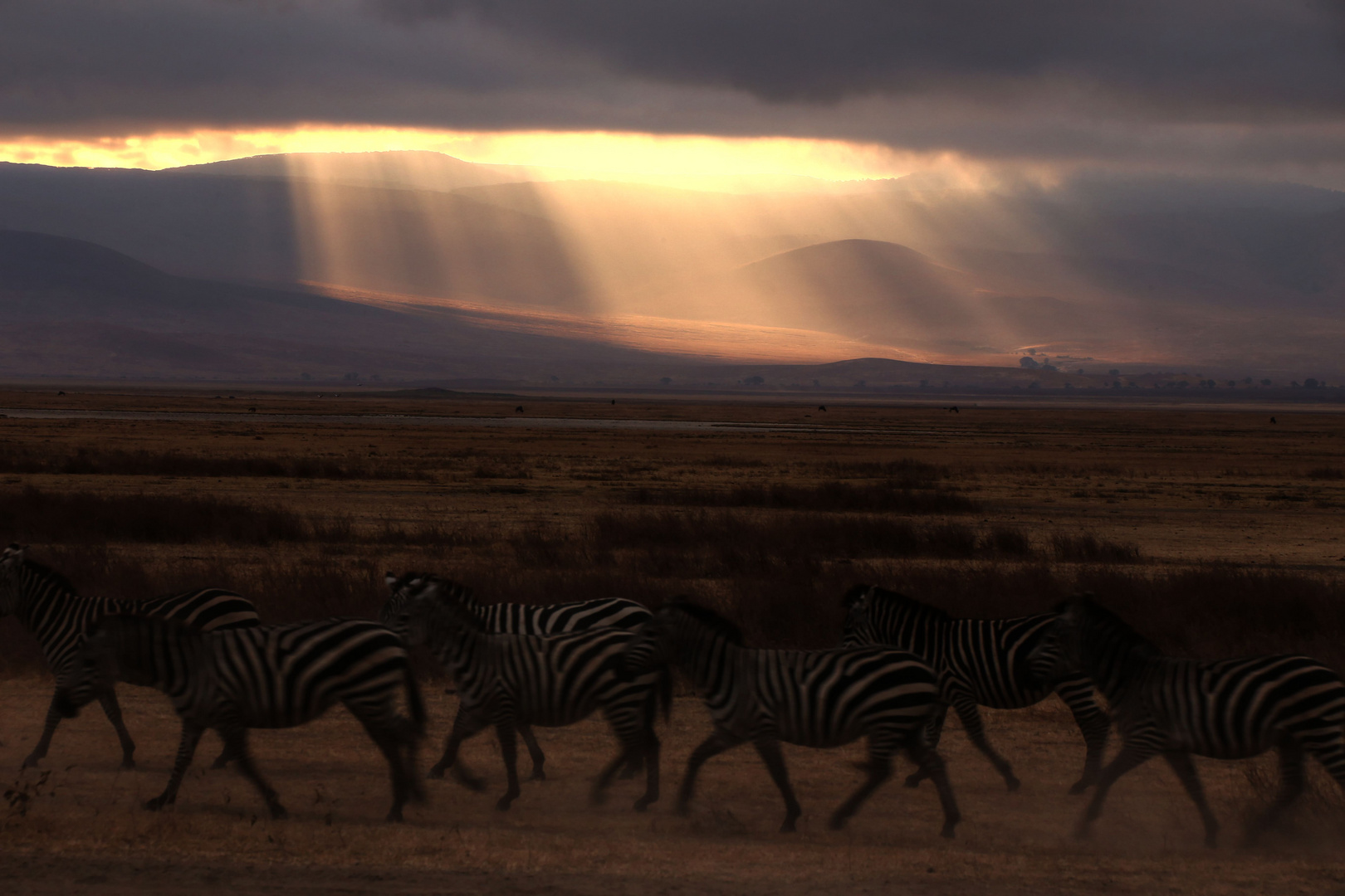 Ngorongoro Sunrise