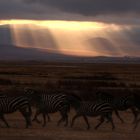 Ngorongoro Sunrise